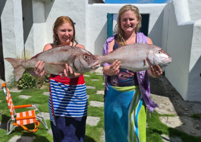self catering accommodation on the beach in struisbaai