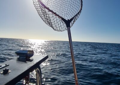 fishing accommodation struisbaai cape town